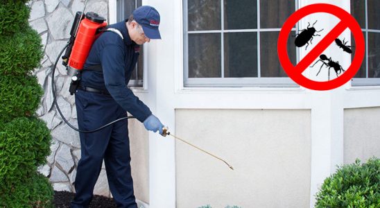 Acıgöl Fare İlaçlama böcek ilaçlama ve haşere kontrolü — ilaclama-tr.com
